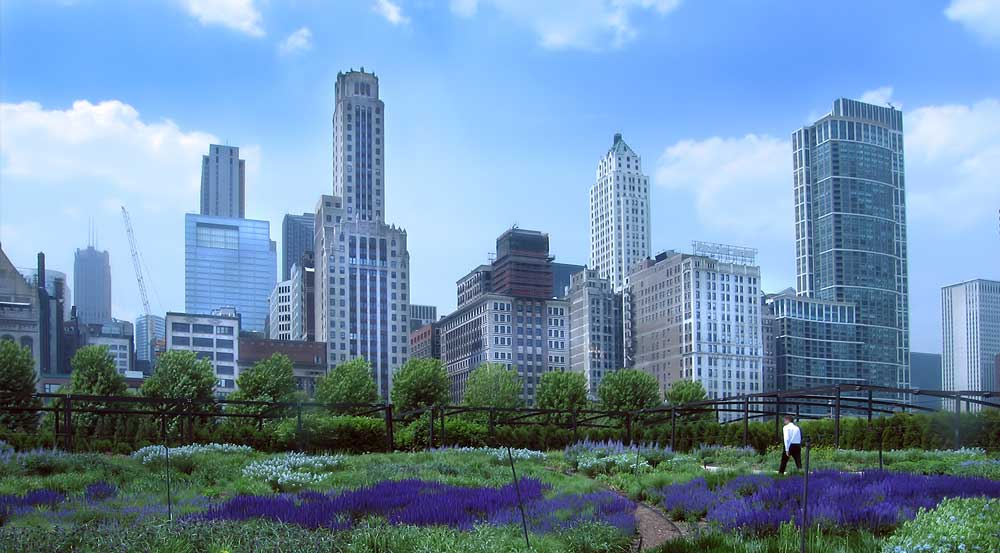 Featured Image - CollabSphere 2023 – Growing Solutions for the World
