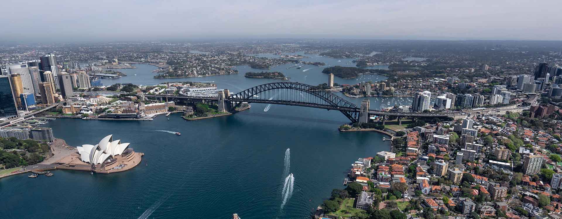 Featured Image - DWCA Sydney