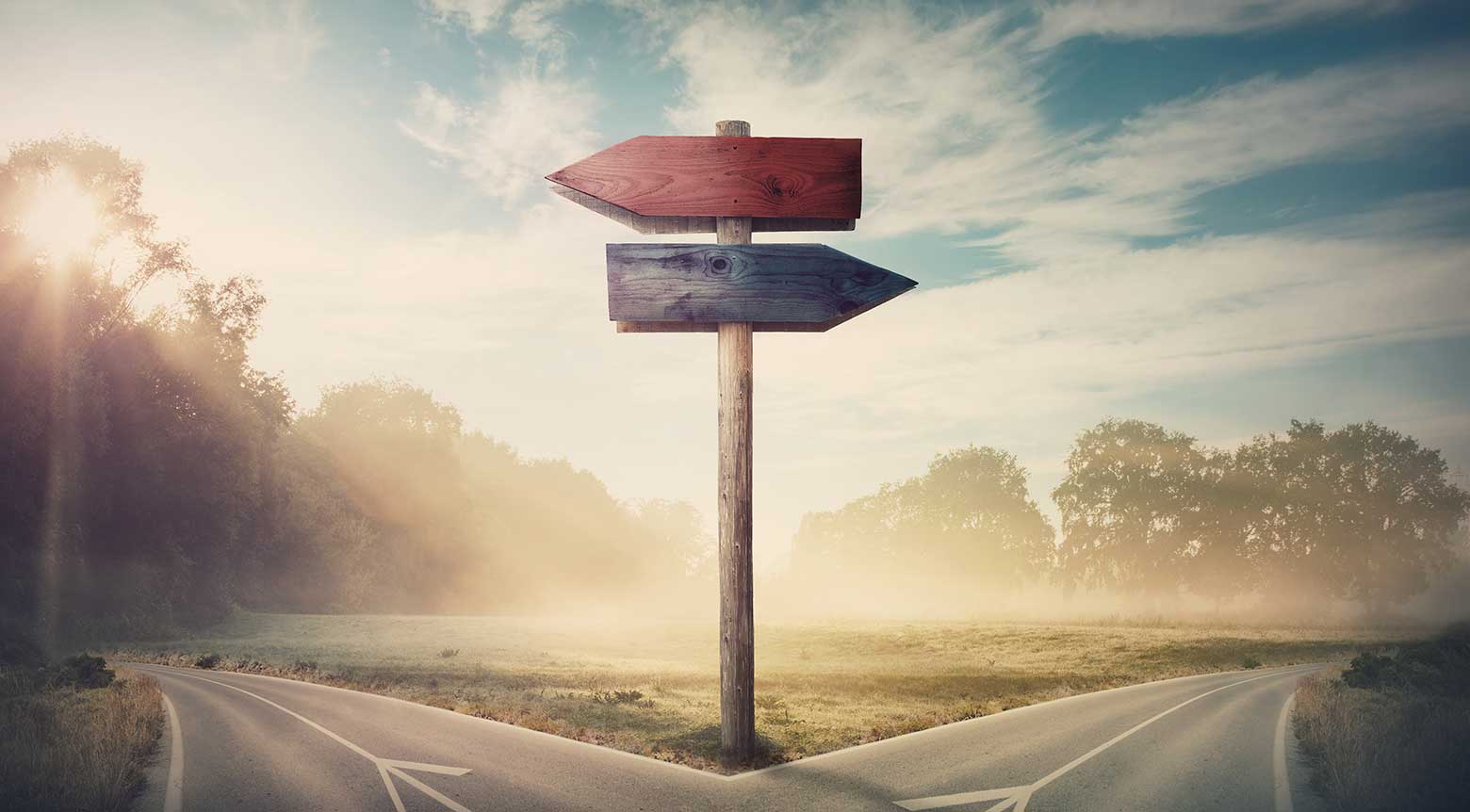 Comparing Usage Analytics about M365 Workloads