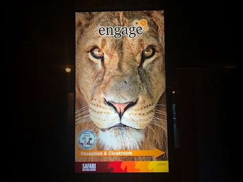 Engage 2020 highlights and announcements from among the giraffes